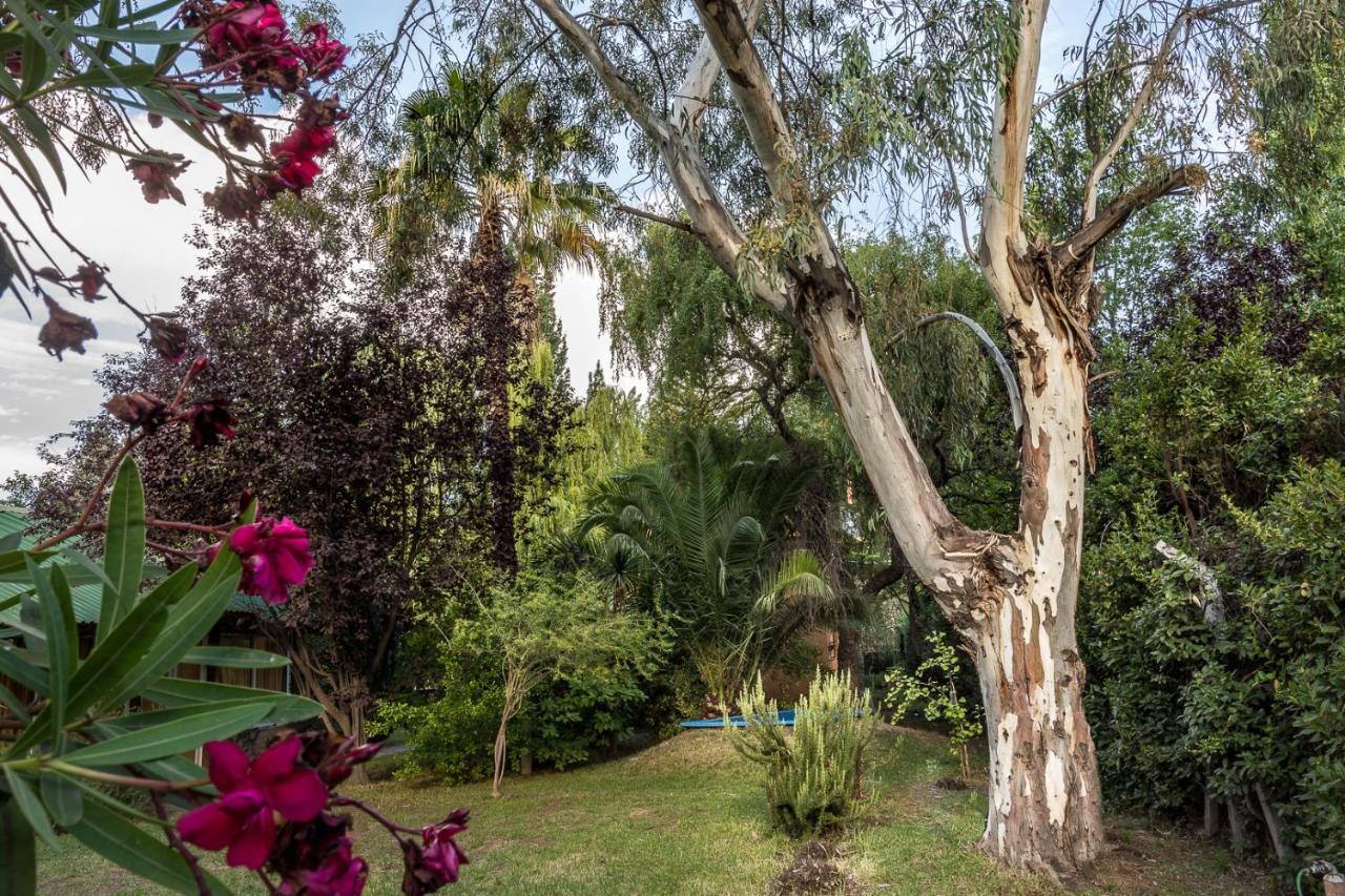 Alquiler Temp "Una Pausa" Barrio Privado En Vistalba Мендоса Екстер'єр фото